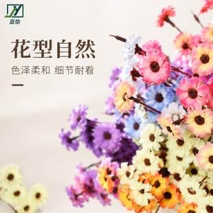 ��շ��滨С�ѻ�c�쾰�b����컨�����͏d�ٻ��羳��ɫСҰ��