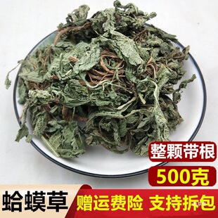 ��֦����Ȼ���]�������ܲݰ�Ƥ����ܲ����r��؛50��؛��؛