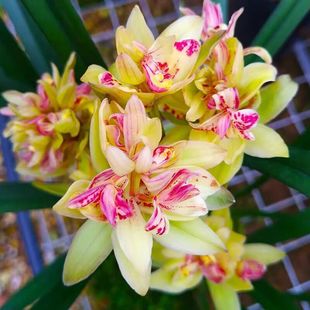 ���F�m�����������m���m�ļ������m������ۻ������Բݺ��B