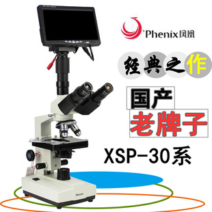 �P��XSP-36�pĿ��W �����@΢�R�W�����z�y�Bֳ