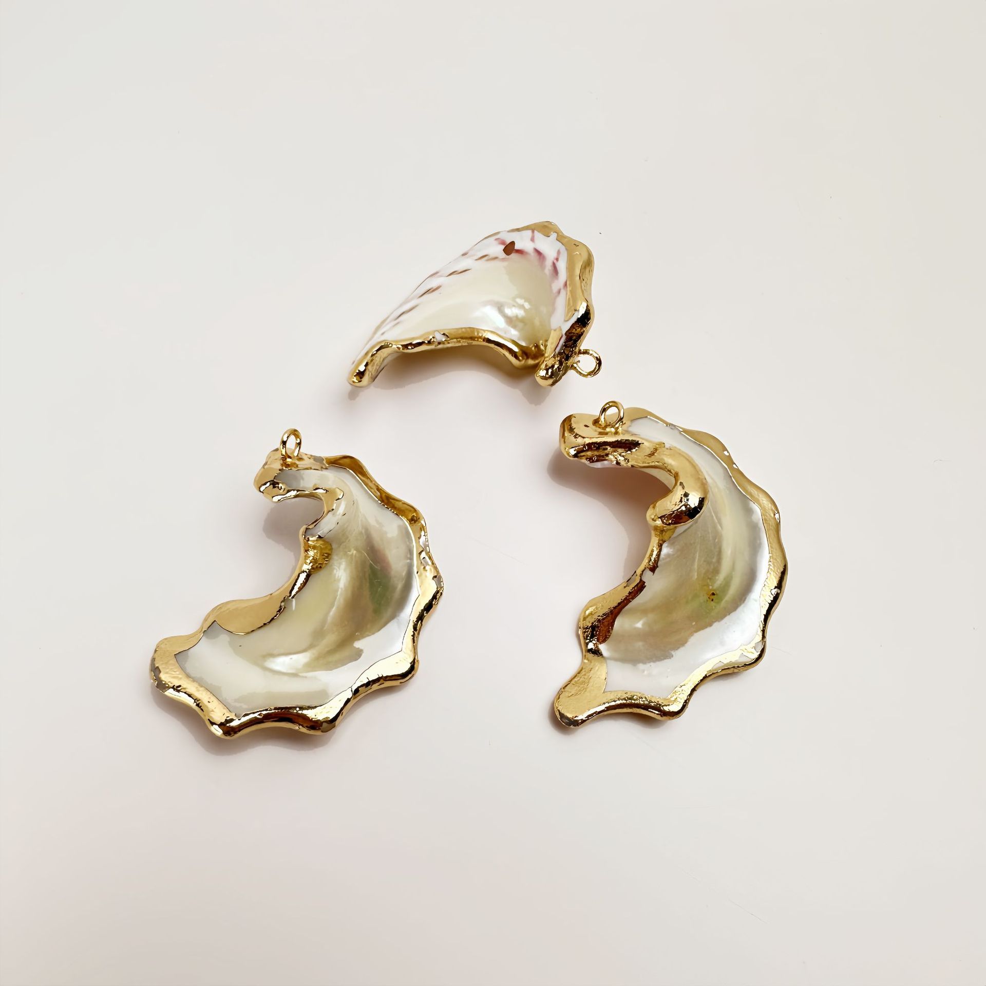 12 나비 날개 달팽이