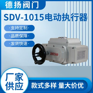 SDV-10/15电动执行器 开关调节型电动头 断电复位AC24/220V DC24V
