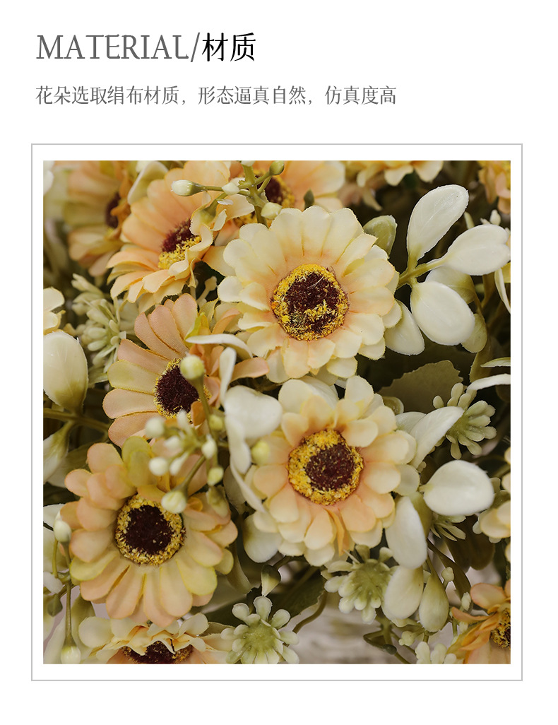 小把束星星菊_02.jpg