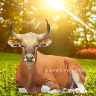 TEMU��������ɐ۴��Sţ���@���^����@�־��^�b�ͥԺ���@�ز�