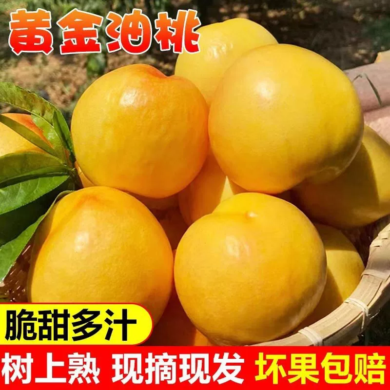 Свежие желтые персики SF Express, только что собранные большие фрукты с красивым золотистым мякотью, не огненные, сезонные целые коробки волосатых персиков с бесплатной доставкой.