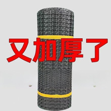 �����u�W���@���Z�B�u�Bֳ�W�W�������ׇ��ھW���o�W�B�u�W����