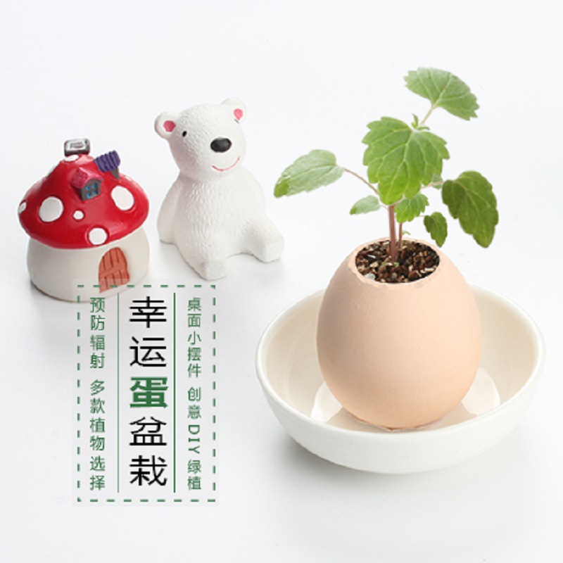 ֲdiy 澰 칫ħħմֲ