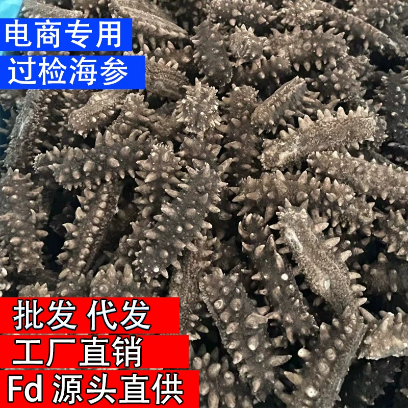 Сушеный морской огурец от одного кусочка, FD лиофилизированный морской огурец оптом, быстрорастворимый морской огурец, подарочная коробка для водных продуктов, специальный морской огурец