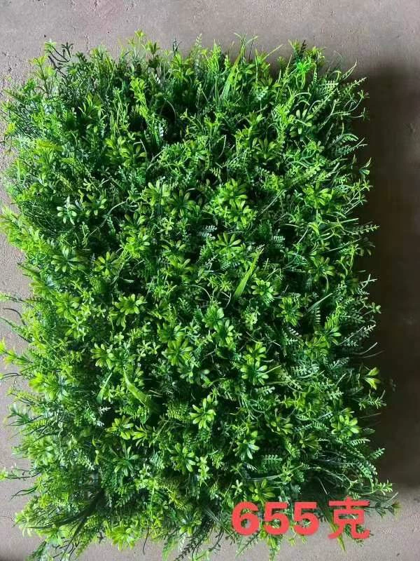 Моделирование растения настенное