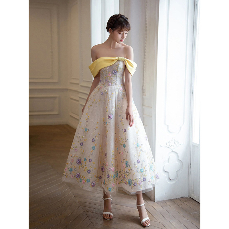 Cross-Border Export Supply European and American Toast Clothing Bride 2025 Banquet Annual Meeting Evening Dress Dance Performance Clothing Tutu Skirt