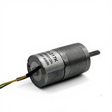 FT-25RGM310-217K���ܳ������΢��ֱ�����ٵ��12V 18RPM