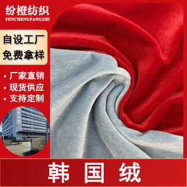 现货批发加密韩国绒金丝绒布料家居服睡衣西装箱包绒布面料定制