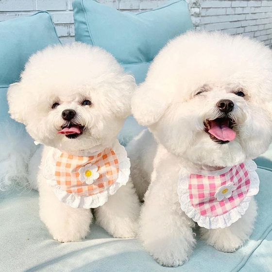 ins Korean cute puppy Plaid floret bib pet saliva towel than bear Teddy Bo Mei scarf cat