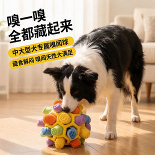 �羳���������ʳ������ߴ���Ȯ���˽␞Ӗ��©ʳҒʳ������Ʒ