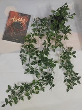 _滨ټٻbGֲɽG}ڒ߷