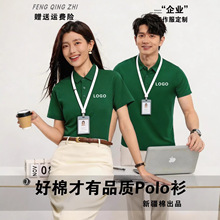 ���_�{�޹���������t������ӡlogo�߶�polo���̽��Gɫ�����Ļ���