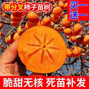 ������������ĥ�Pˮ��ţ�ĺ��������ش��ϱ����Nֲ���箔��Y