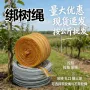 打包农用园林布条捆扎绳