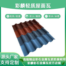 ���m�Ͳ�ʯ������ ���������ʯ��Դ�^���S�l؛ ���P���������|