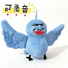 ���B�����B�㡿��ͨ����ë�q��ż�����{ɫС�B�ṣȤζ����YƷ��