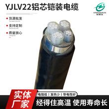 YJLV22 3*35+1*16 �Xо�z�b��| ���˵͉������| �����z�b늾�