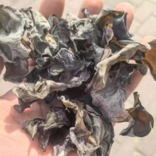 ��ľɢ�b�|�����d���X�ľ��ľ���ڸ�ܛŴ�خa��ľ��ľ�����]