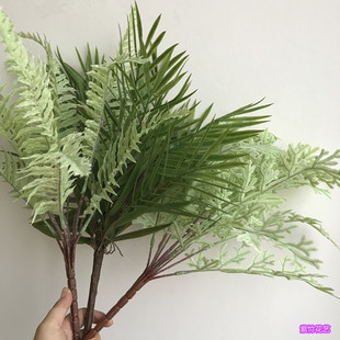 沨˹~ PβPβ~ С¹~ֲϿ͏d[Ż