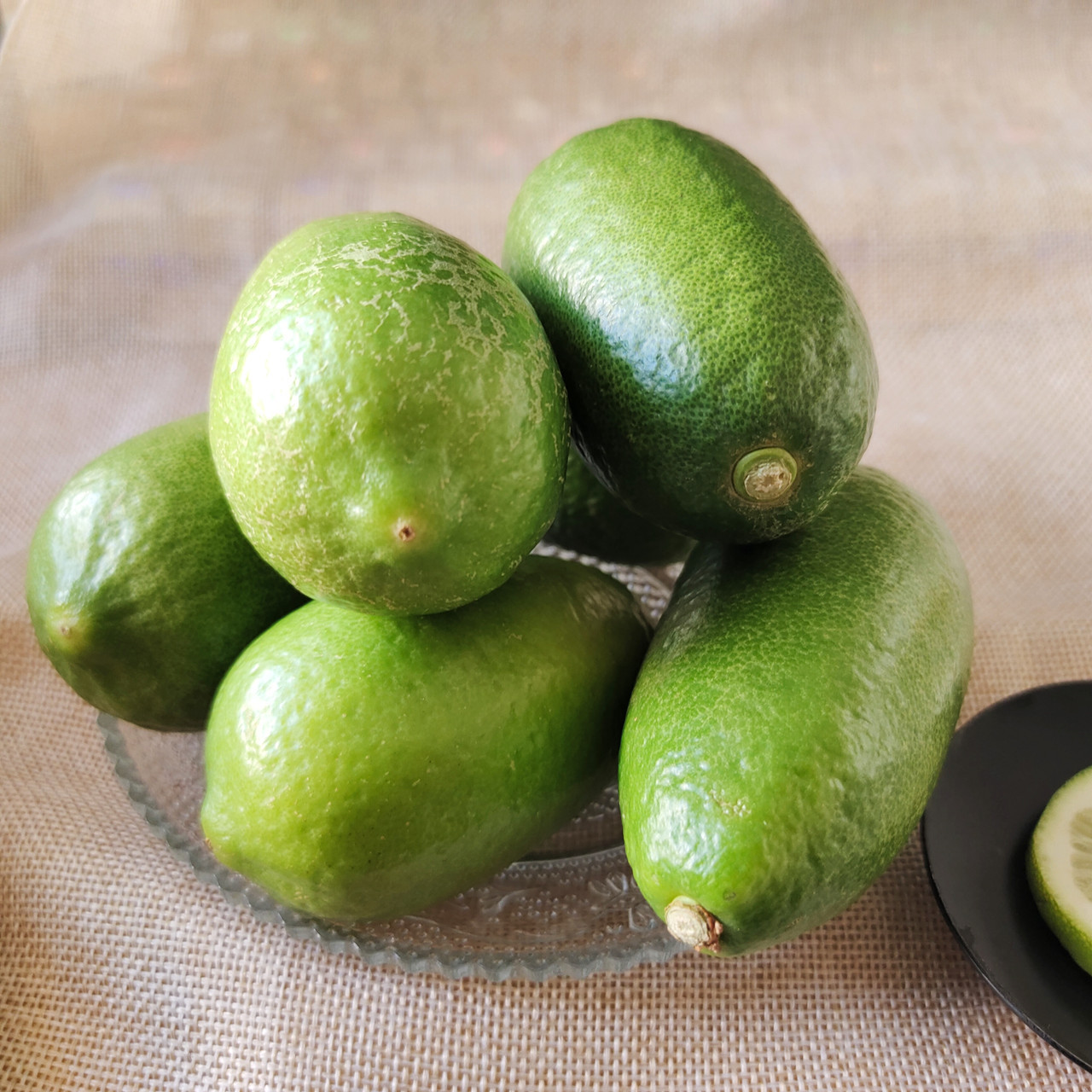 d2945dc7c7e918fe393342a94de8af