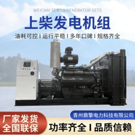 柴油发电机组;自吸泵;发电机零部件