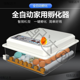 Incubator Fully Automatic Small Household Intelligent Egg Incubator Duck and Goose Household Rutin Small Egg Incubator