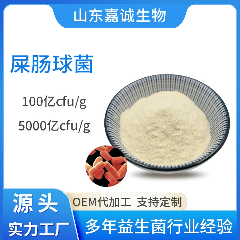 Пробиотический порошок Enterococcus для домашних животных, 10 миллиардов КОЕ/г, порошок молочнокислых бактерий, специфический для домашних животных