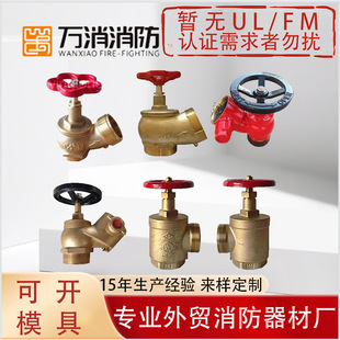 American Npt Fire Hydrant French Japanese Style Storz German Bsp British Brass Foreign Trade Landing Valve