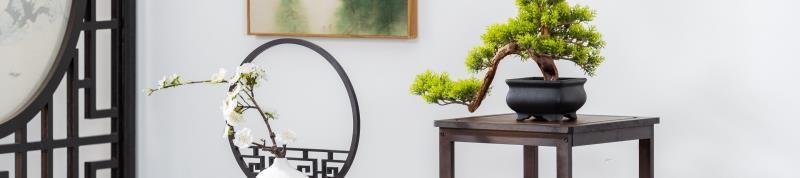 f64124ab-3200-419c-adc9-1104c427ec5f.jpe