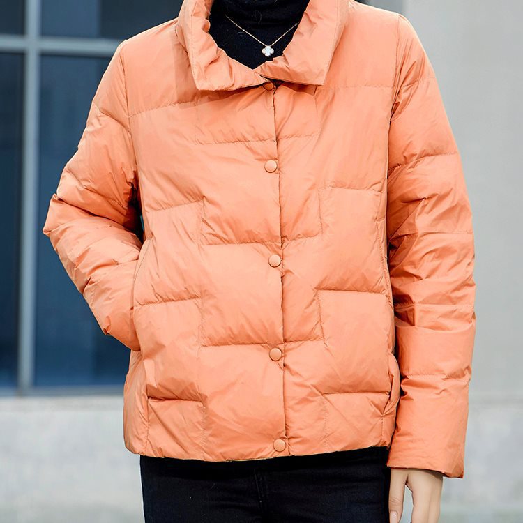 Thin autumn demi-season velvet down jacket