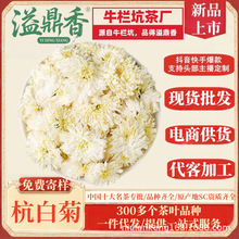 �綦�㺼�׾�ͩ�l�ջ������ڲ��~����ؕ��̥��ȥ�����o�����