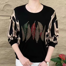 2024ﶬ¿L䴺CŮb⋌trСŮ