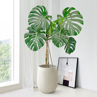 ������͏d�������҃ȴ���ֲ���Ϙ��Gֲ���~���~����ȩ�����k����