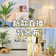感立体直播背景布装饰移动网可新款红高级高清拍照挂布简约