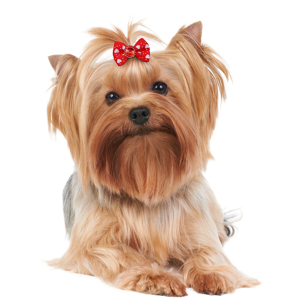 Pet Bow Hair Ties, Dog Hair Bands, Cat and Dog Princess-Style Hair Accessories, In-Stock, Direct from Manufacturer, Cross-Border Supply