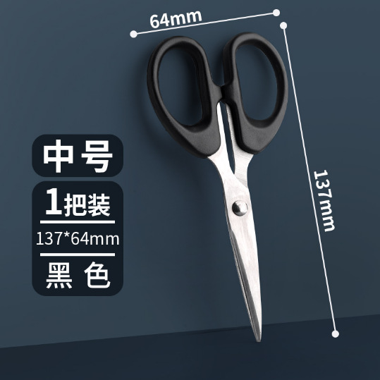 가정용/중형 블랙/가방