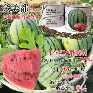 �п�ï�A�Ϲ��N���п�������������ϷN�Ӹ߈A�δ�tȿ���ܶȳ���