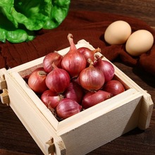 新货正宗东北小毛葱圆葱农家自种无公害小洋葱毛葱头鬼子葱油整箱