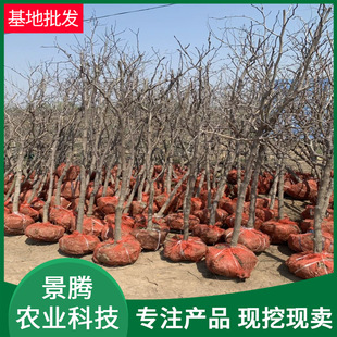 ������ֱ�N �F�ڬF�u Ҏ��ȫ ��zС�� ������Ʒ�N 5 6 7���֗���