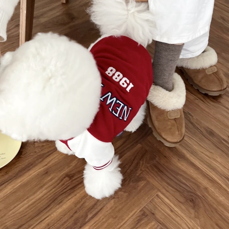 Otoño y invierno nuevo estilo alrededor de 1988 camisa de camiseta de camiseta de color contraste perros pequeños y medianos mascotas perros gatos ropa de peluche