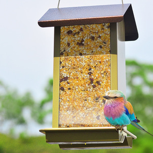 ͥԺ�@���Fˇ�Ғ�ʽ����ι�B�� bird feeder��������B�ιʳ��