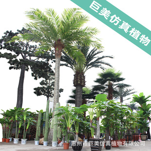 ���ͷ���Gֲ�M�Ϸ���������҃����b٘�ֲ��Ž���ɢβ�����l