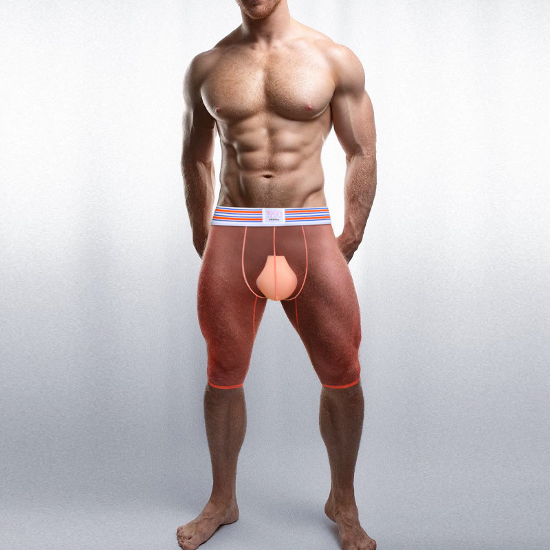 Men's Briefs Breathable Sexy Transparent Extended Length Seamless Quick-Drying Trendyy Sports Boxer Briefs Ad7374