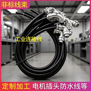 ����WS20J12TS���ղ��^�ӹ��ŷ����| 늙C�R�_���^���Ӿ���f�S