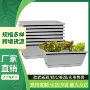 新款家庭加厚长方形花盆