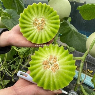 ����������8�����rˮ������������]С����۹���ǹ�5�ܹϟo